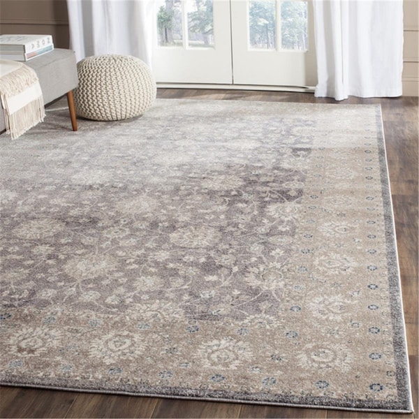 Safavieh Sofia Large Rectangle Area RugLight Grey & Beige 8 x 10 ft. SOF330B-810 - main