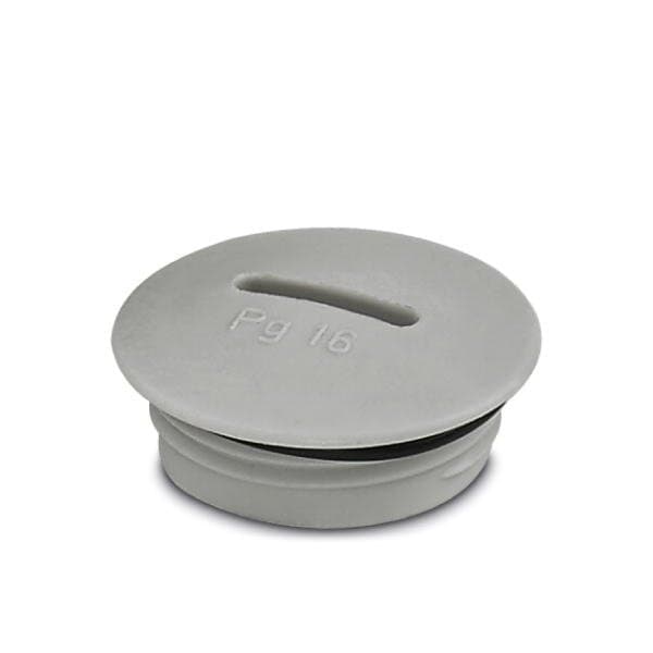 Phoenix Contact A-INSP-PG21-65N-P-LG Screw plug 1424524 - main
