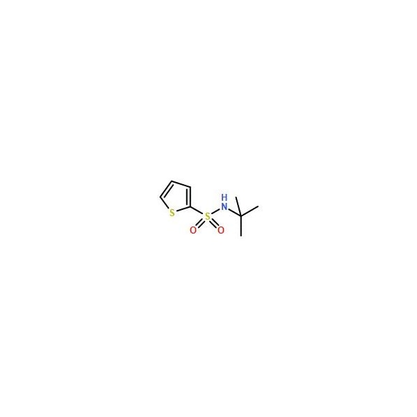 Ak Scientific N-tert-Butyl-2-thiophenesulfonamide (100g), CAS 100342-30-1 V0635-100g - main