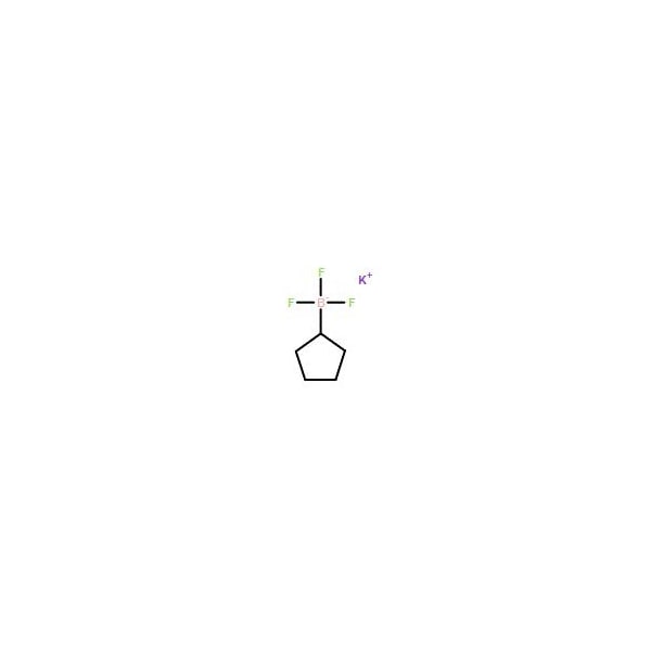 Ak Scientific Potassium cyclopentyltrifluoroborate (5g), CAS 1040745-70-7 X1511-5g - main