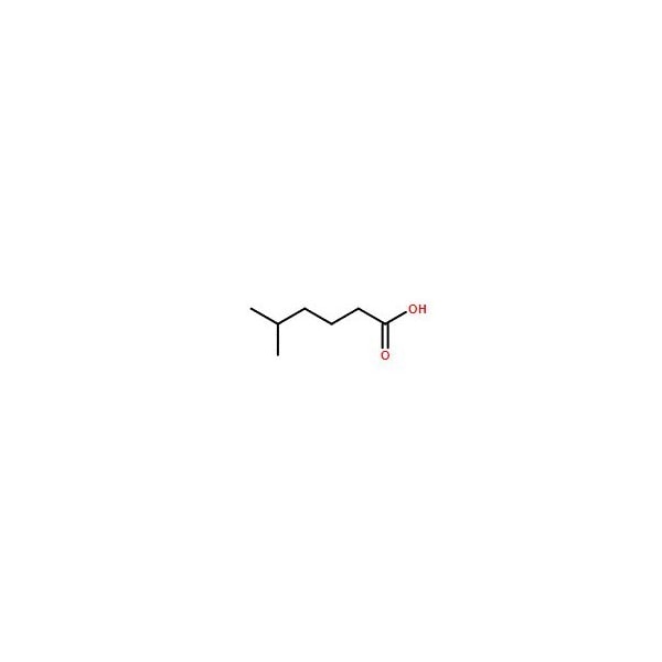 Ak Scientific 5-Methylhexanoic acid (1g), CAS 628-46-6 6997AE-1g - main