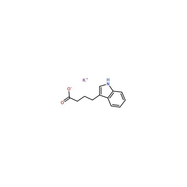 Ak Scientific Indole-3-butyric acid potassium salt (100g), CAS 60096-23-3 S456-100g - main