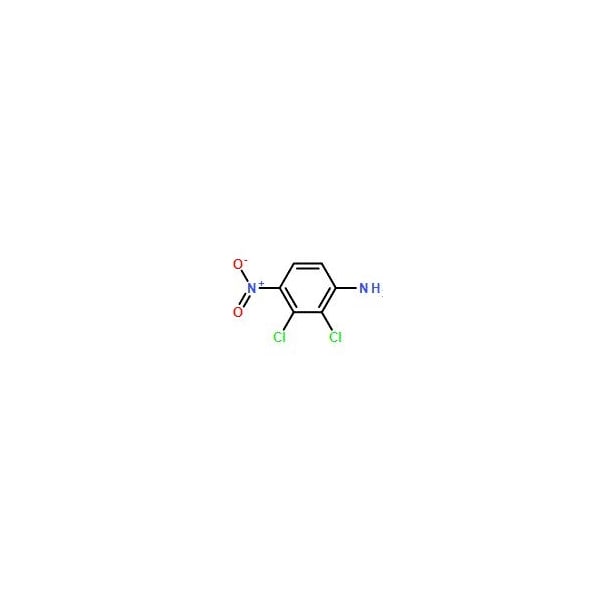 Ak Scientific 2, 3-Dichloro-4-nitroaniline (1g), CAS 69951-03-7 0830AC-1g - main