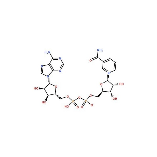 Ak Scientific Beta-nicotinamide adenine dinucleotide (5g), CAS 53-84-9 6614AF-5g - main