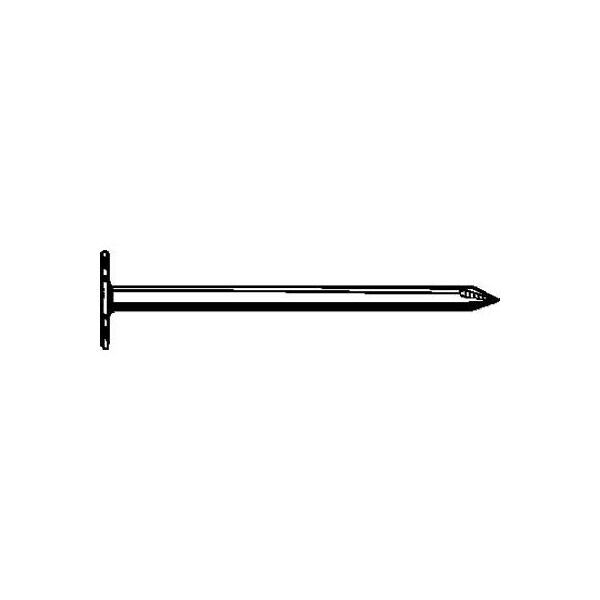 Maze Nails Common Nail, 2 in L, 6D, Carbon Steel, Hot Dipped Galvanized Finish, 0.12 ga S105-5 - main