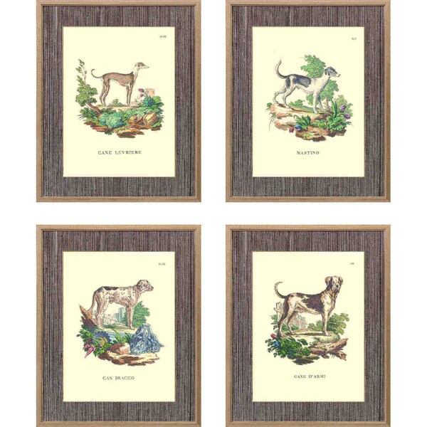 Homeroots Set Of Four French Dogs Gold Framed Print Wall Art, 4PK 525771 - main
