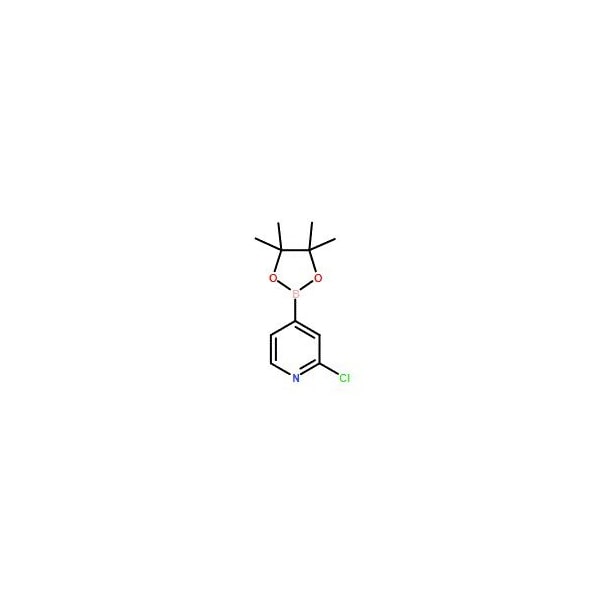 Ak Scientific 2-Chloropyridine-4-boronic acid pinacol ester (1g), CAS 458532-84-8 X0813-1g - main
