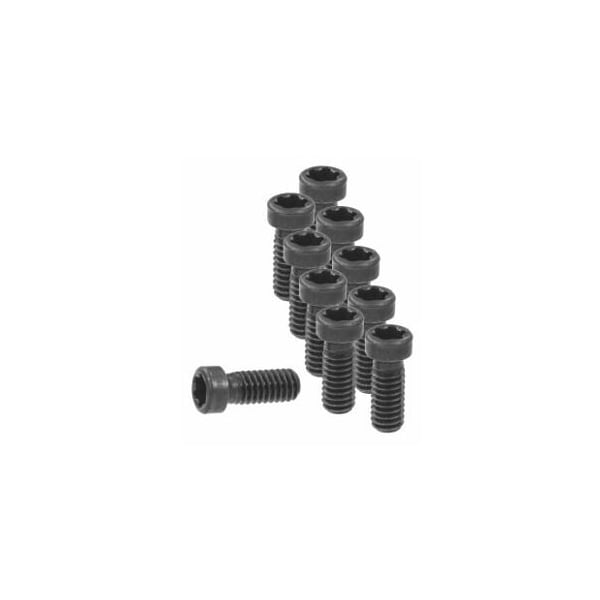 Garant Set of Insert Screws, 10 Pieces 219832 - main