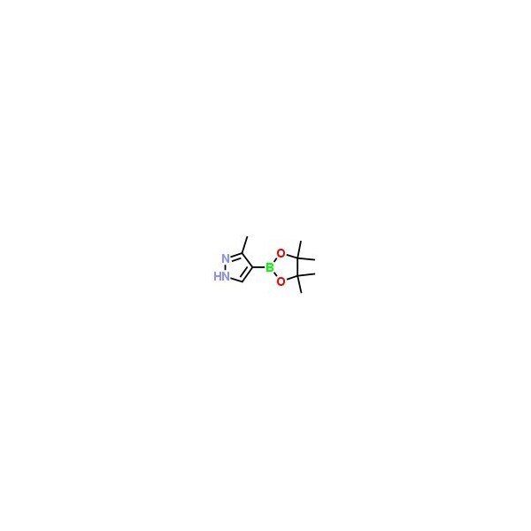 Ak Scientific 3-Methyl-1H-pyrazole-4-boronic acid pinacol ester (1g), CAS 936250-20-3 B563-1g - main