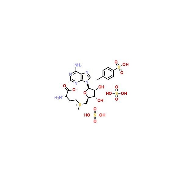 Ak Scientific Ademetionine disulfate tosylate (5mg), CAS 97540-22-2 R922-5mg - main