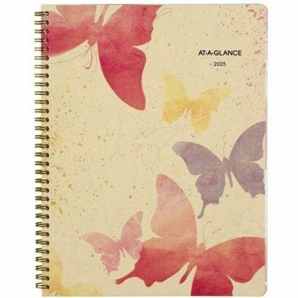 At-A-Glance Planner, Wkly/Mnth, Watrcolor AAG791905G - main