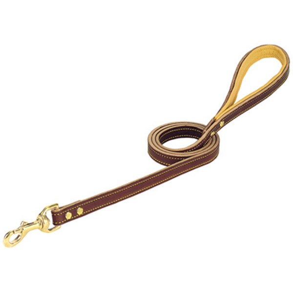 Daretocare 06-5657-4 0.75 in. x 4 ft. Deer Ridge Leash DA2009402 - main
