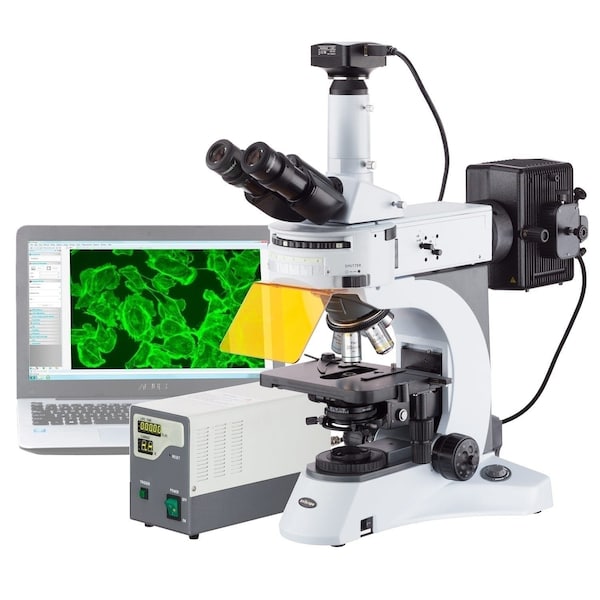 Amscope FM820 Upright EPI-Fluorescence Trinocular Compound Microscope 40X-2000X w/Rotating Multi-Filter Tur FM820TB - main