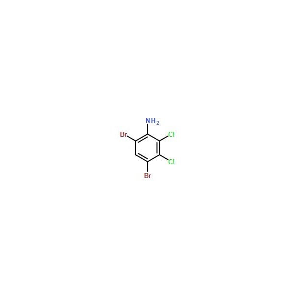 Ak Scientific 4, 6-Dibromo-2, 3-dichloroaniline (5g), CAS 113571-15-6 9077AC-5g - main