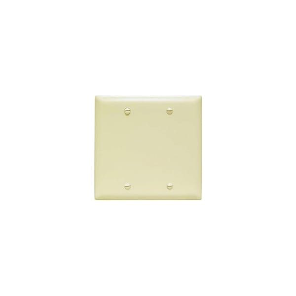 Pass & Seymour Blank Wallplate, 0.07 in Thick, 2 -Gang, Nylon, Ivory, Box Mounting TP23ICC12 - main