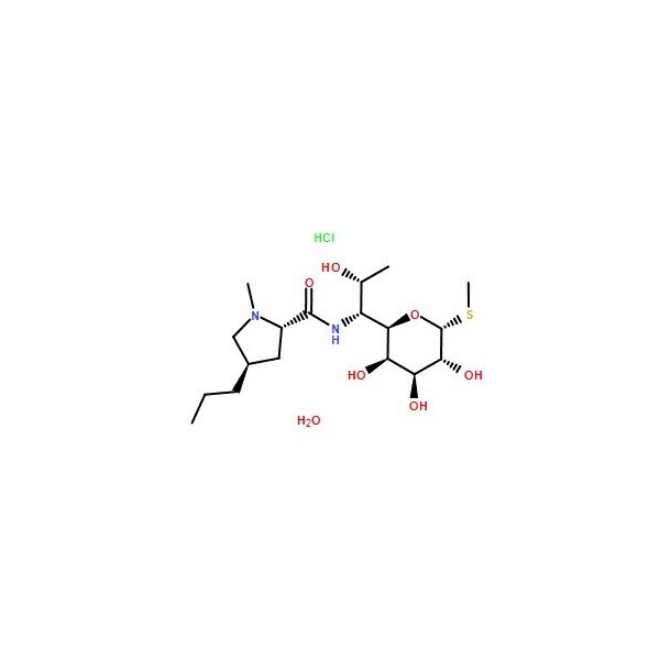 Ak Scientific Lincomycin hydrochloride monohydrate (5g), CAS 7179-49-9 2516AH-5g - main