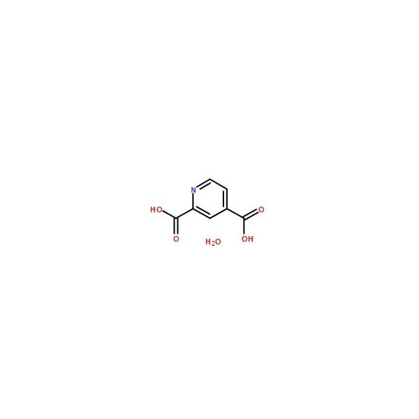 Ak Scientific 2, 4-Pyridinedicarboxylic acid monohydrate (1g), CAS 207671-42-9 X4359-1g - main
