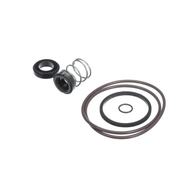 Vogt Ice SEAL, PUMP FOR GOULD NPE 3ST 12A4080S12 - main