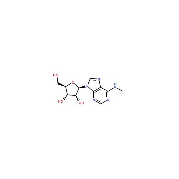 Ak Scientific N6-Methyladenosine (25g), CAS 1867-73-8 2575AH-25g - main