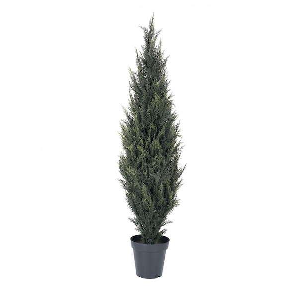 Dare2Decor UV Pond Cypress Everyday Tree with 1543 LVS - 5 ft. DA3251691 - main