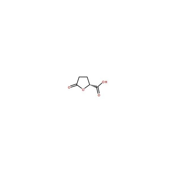 Ak Scientific (R)-5-Oxotetrahydrofuran-2-carboxylic acid (1g), CAS 53558-93-3 7631AB-1g - main