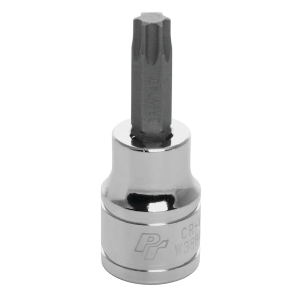 Perform Tool Torx Bit Use With 3/8 In Drive Socket; 6 Point; T40; Polished; Alloy Steel Bit With Chrome Vanadium W38840 - main
