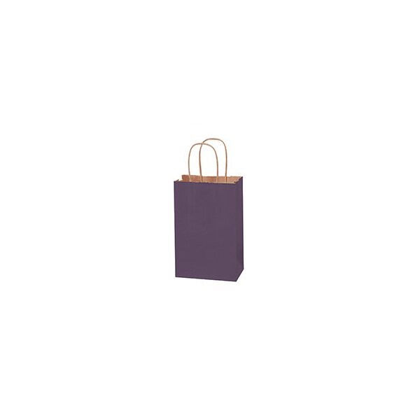 Bubblefast 250-5 1/2 x 3 1/4 x 8 3/8'' Purple Tinted Shopping Bags, 250PK BFBGS114PU - main