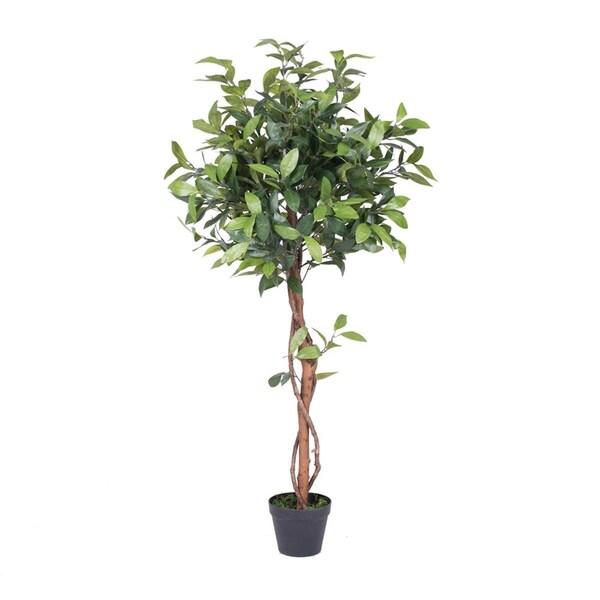 Vickerman Camellia Everyday Tree in Pot - 50 in. T161250 - main