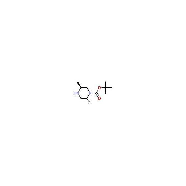 Ak Scientific trans-N-Boc-2, 5-Dimethylpiperazine (5g), CAS 194032-41-2 B256-5g - main