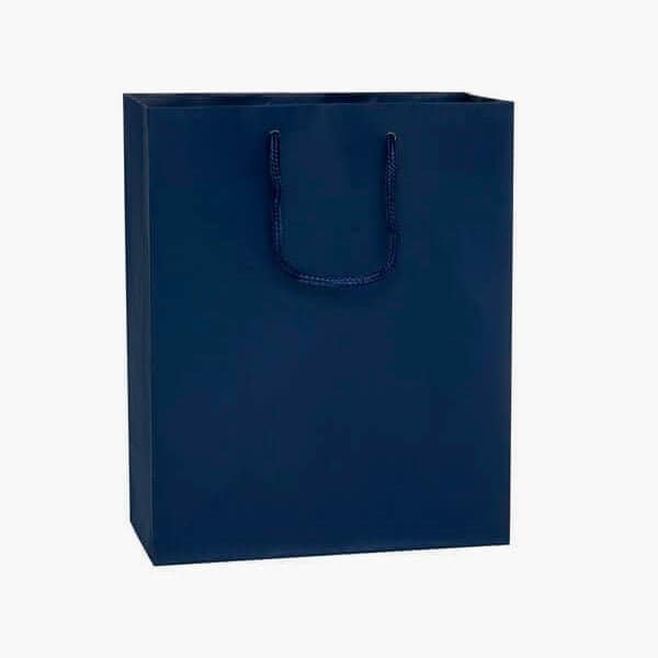 Nashville Wraps Navy Matte Gift Bags, Cub 8x4x10, 10PK MTCMNB - main
