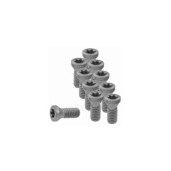 Garant Set of Insert Screws, 10 Pieces 219833 - main