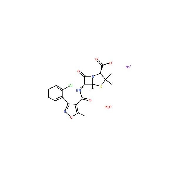 Ak Scientific Cloxacillin sodium monohydrate (1g), CAS 7081-44-9 Y0550-1g - main