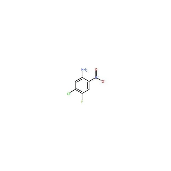 Ak Scientific 5-Chloro-4-fluoro-2-nitroaniline (1g), CAS 104222-34-6 Y6896-1g - main