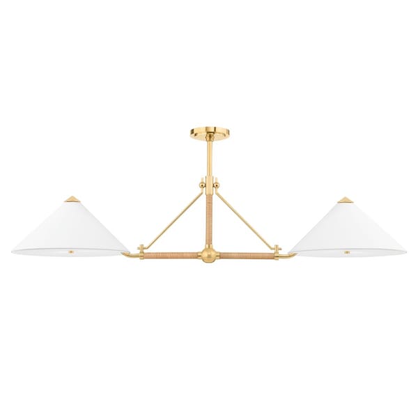 Hudson Valley Lighting Williamsburg 4 Light Linear 57 In. Aged Brass 1057-AGB - main