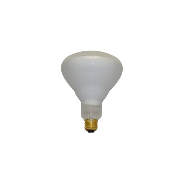 Ilc PHILIPS Replacement 400W R40 Incandescent PAR Lamp - 5000LM, 2000HR Life 310698 - main
