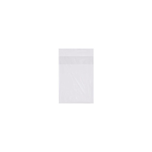 Bubblefast 1000-9 x 12'' - 1 Mil Flap Lock Poly Bags, 1000PK BFPBFL091201 - main