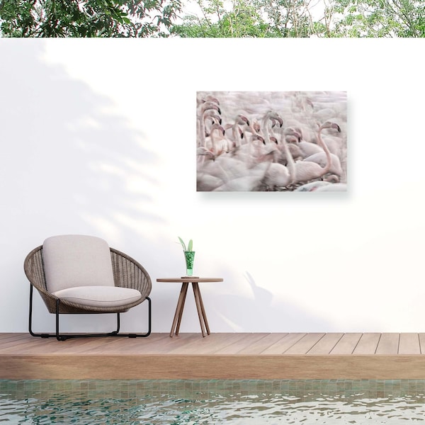 Trademark Fine Art Outdoor Canvas Art Martine Benezech In The Pink Transhumance Wall Art for Patios, or Gardens 1X10976-OC2232WR - main