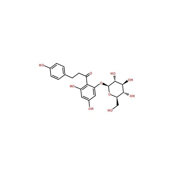 Ak Scientific Phloridzin (1g), CAS 60-81-1 Q438-1g - main