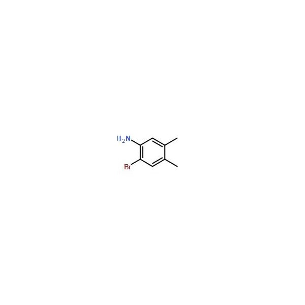 Ak Scientific 2-Bromo-4, 5-dimethylaniline (1g), CAS 22364-29-0 Z0404-1g - main