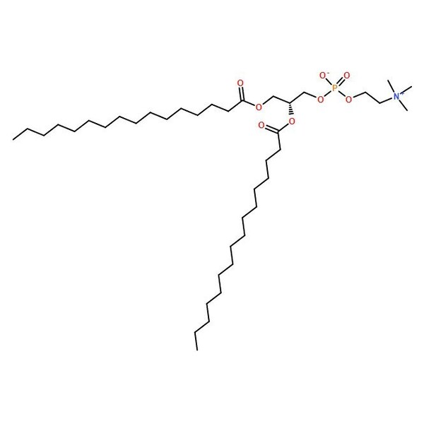 Ak Scientific 1, 2-Dipalmitoyl-sn-glycero-3-phosphocholine (200mg), CAS 63-89-8 K017-200mg - main