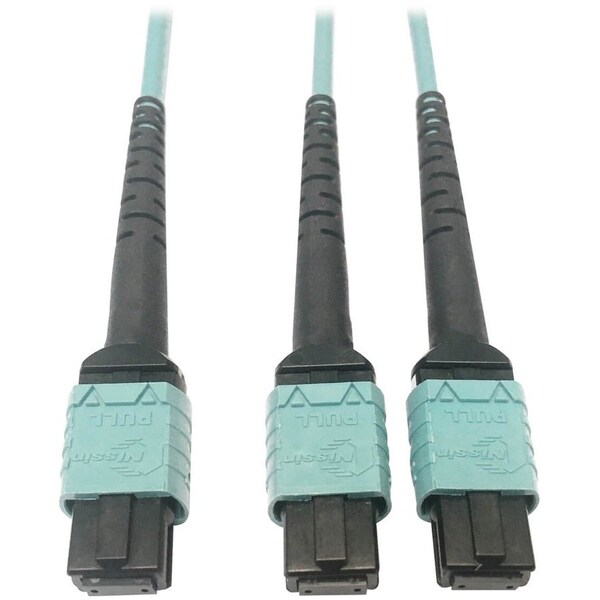 Eaton Tripp Lite Series 400G Multimode 50/125 OM4 Plenum Fiber Optic Cable, 24F MTP/MPO-PC to x2 12F N846D-01M-24BAQ - main