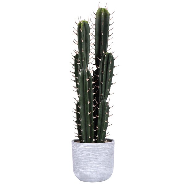 Dare2Decor 27.5 in. Green Aloe in Concrete Pot DA2676088 - main
