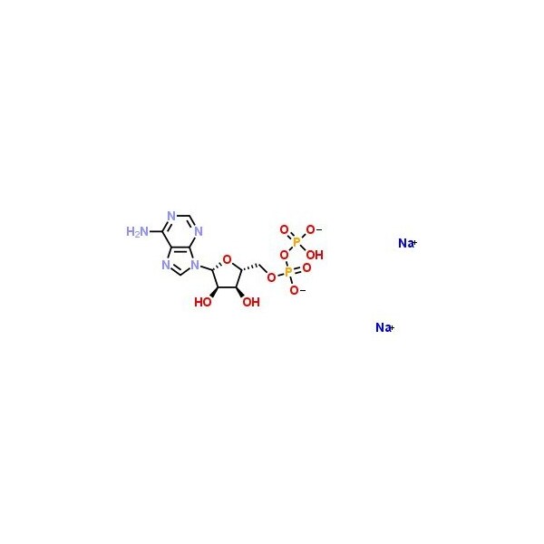 Ak Scientific Adenosine-5'-diphosphate disodium salt (5g), CAS 16178-48-6 E185-5g - main