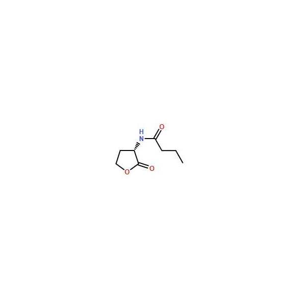 Ak Scientific N-Butanoyl-L-homoserine lactone (1g), CAS 67605-85-0 0410AC-1g - main