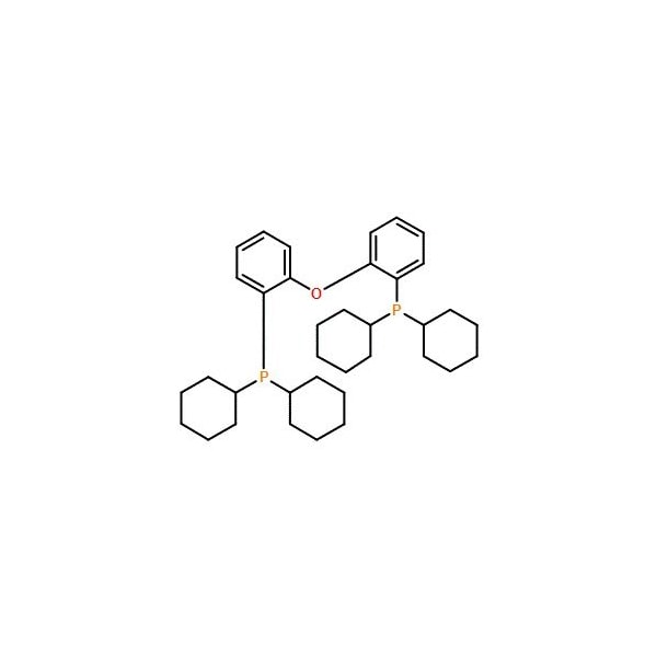 Ak Scientific (Oxybis(2, 1-phenylene))bis(dicyclohexylphosphine) (100g), CAS 434336-16-0 6007AB-100g - main