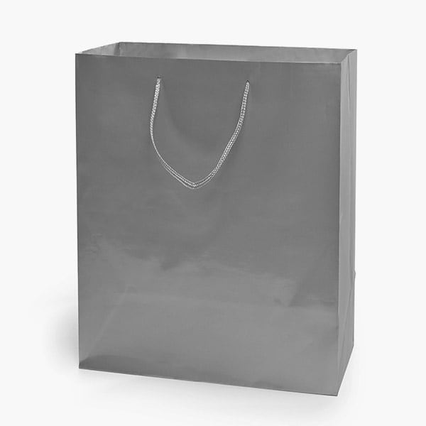 Nashville Wraps Silver Gloss Gift Bags, Cub 8x4x10, 10PK GTCMSI - main