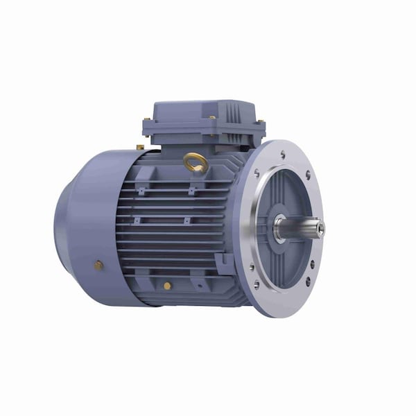 Marathon R252 IEC 3 kW (4 HP) 1800 RPM TEFC 100L 3-Phase 60Hz Electric Motor MR252 - main