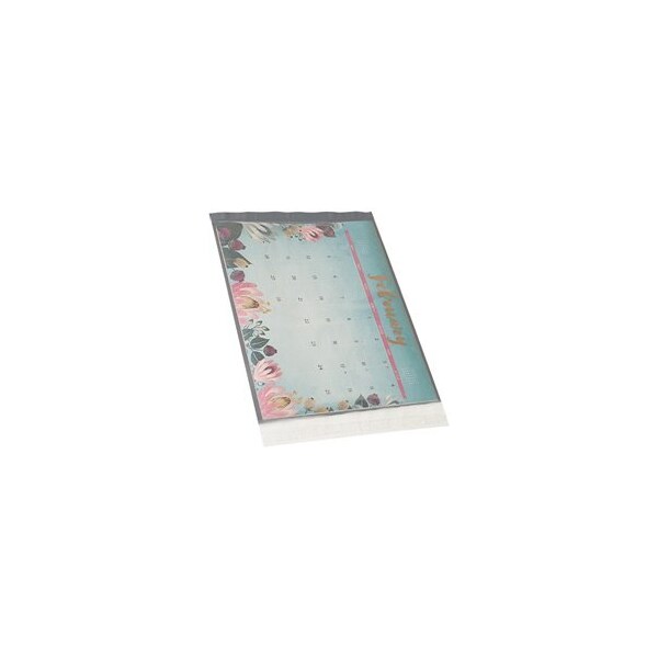 Bubblefast 100-14 1/2 x 19'' Clear View Poly Mailers, 100PK BFCV1419 - main