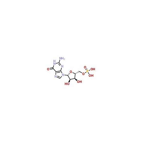 Ak Scientific Guanosine 5'-monophosphate (5g), CAS 85-32-5 H403-5g - main
