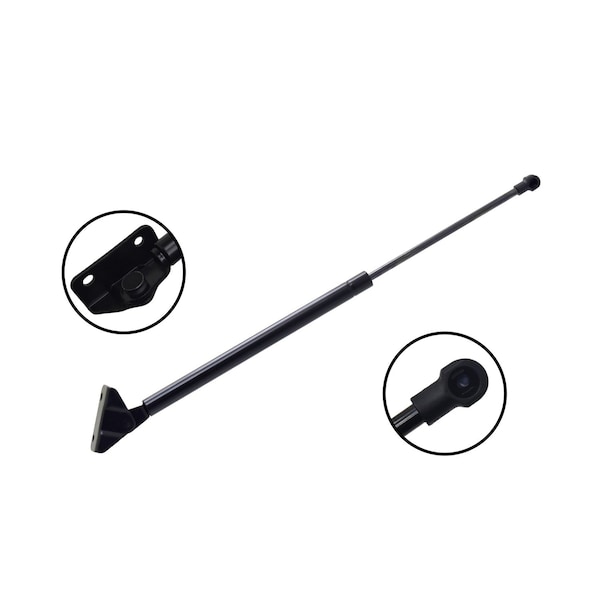 Fcs Struts Liftgate Lift Support 80061 - main